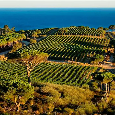 Сasa de vacaciones Locazione Turistica Ginestra