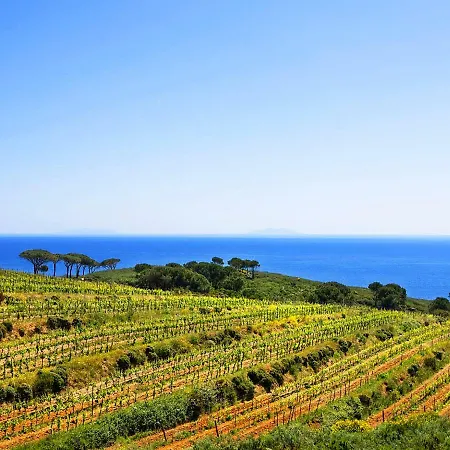 Casa de Férias Locazione Turistica Ginestra